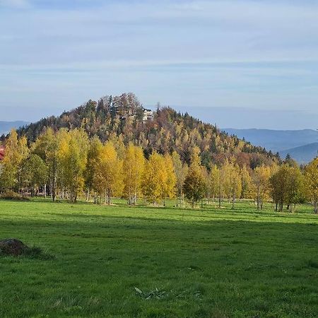 Rezydencja Green Hill - Ekskluzywny Dom W Karpaczu Buitenkant foto