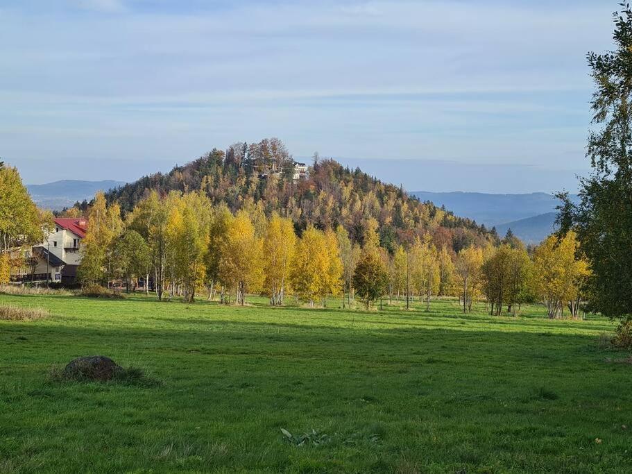 Rezydencja Green Hill - Ekskluzywny Dom W Karpaczu Buitenkant foto